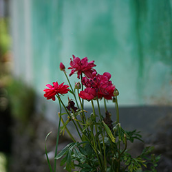 浙江象山泗洲头何婆岭村