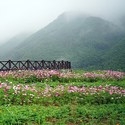 浙江象山泗洲头肖胡村